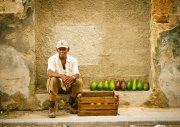 Avocado-seller