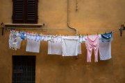 Tuscan-washing-on-line