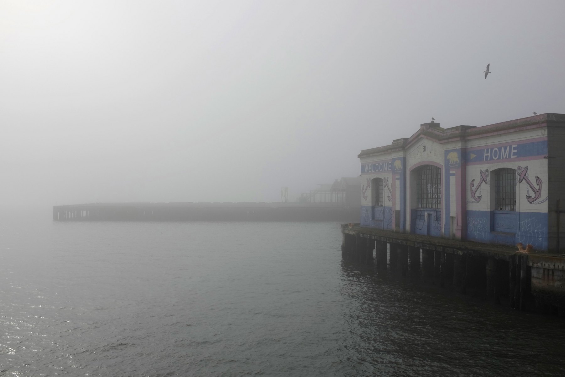 Pier-33-Mist