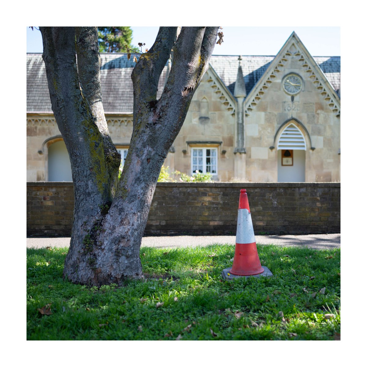 Square-Tree-and-cone