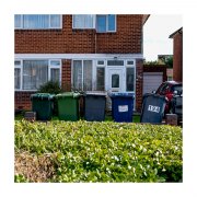 DSC_0519-sqcrop
