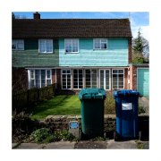 DSC_0541-sqcrop