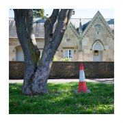 Square-Tree-and-cone